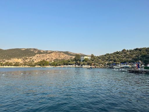Yorum fotoğrafı 3