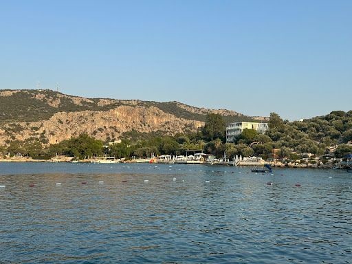 Yorum fotoğrafı 4