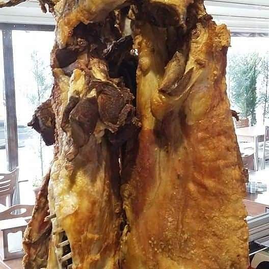 Fotoğraf 16