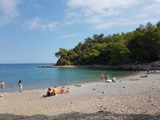 Yorum fotoğrafı 4