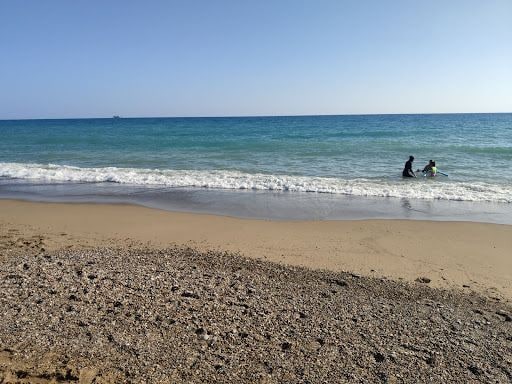 Yorum fotoğrafı 8