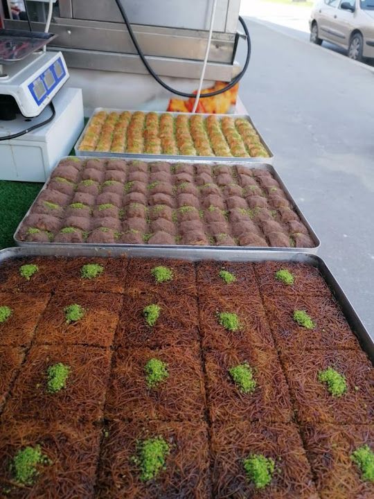 Fotoğraf 12