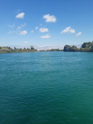 Fotoğraf 12