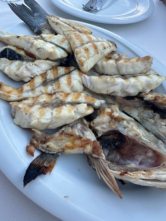 Fotoğraf 36