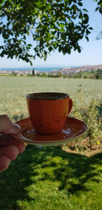 Fotoğraf 28