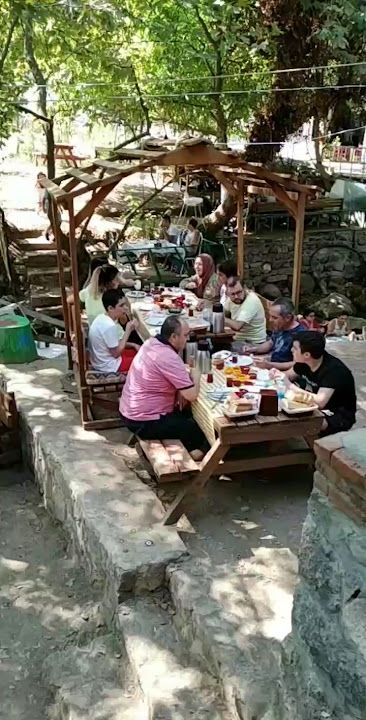 Fotoğraf 15