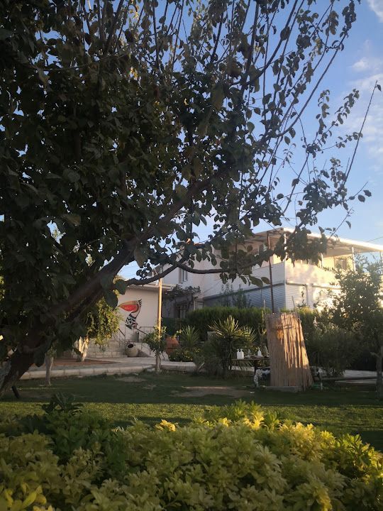 Fotoğraf 21