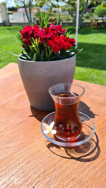 Fotoğraf 14
