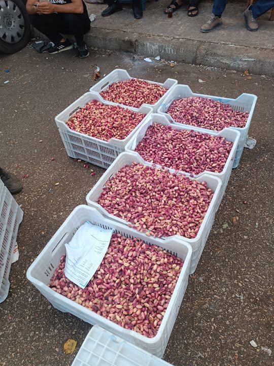 Fotoğraf 46
