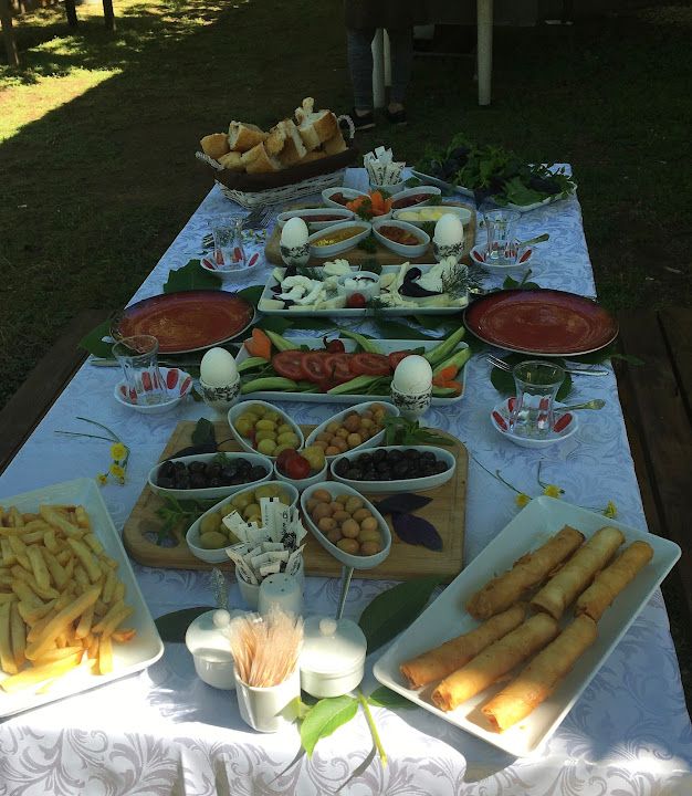 Fotoğraf 11