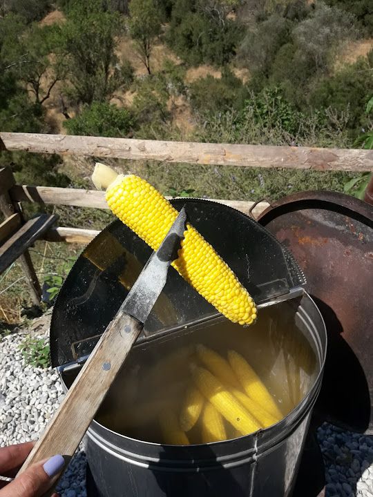 Fotoğraf 27