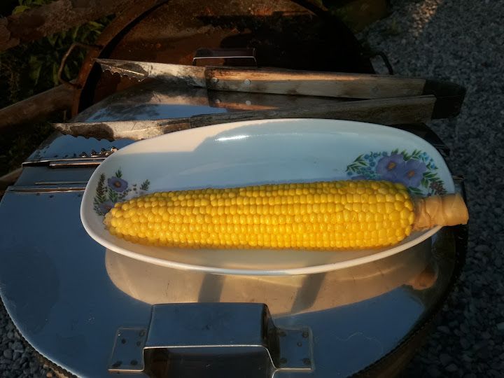 Fotoğraf 29