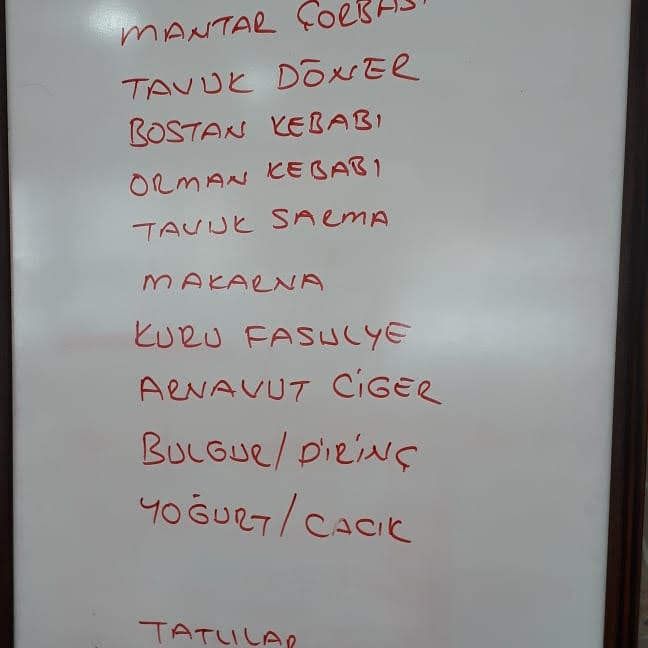 Fotoğraf 14