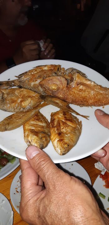 Fotoğraf 41