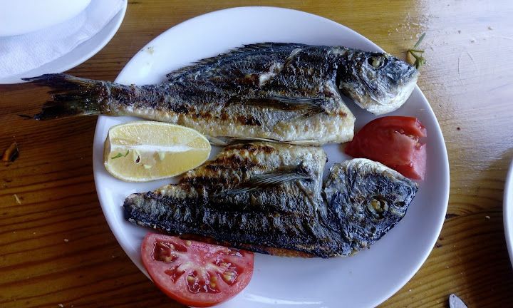 Fotoğraf 47