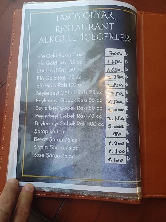 Fotoğraf 36