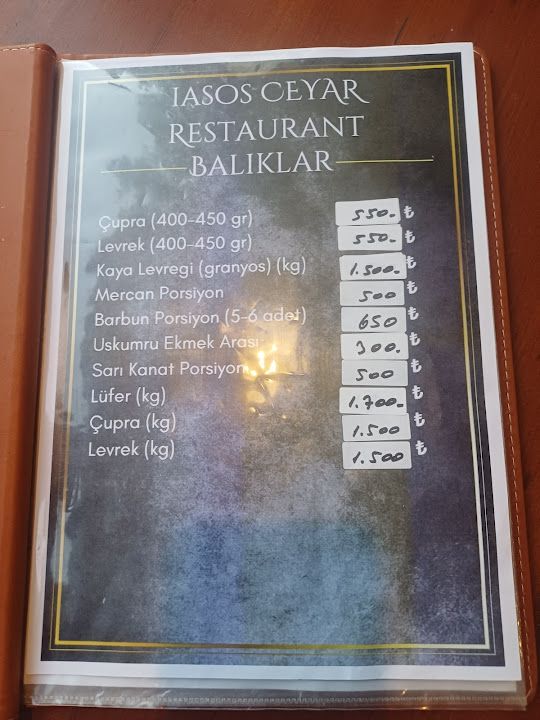 Fotoğraf 32