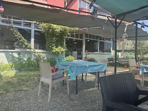 Fotoğraf 12