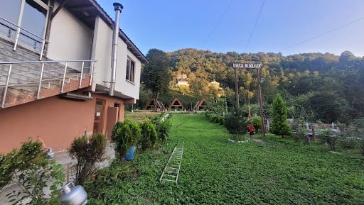 Fotoğraf 12