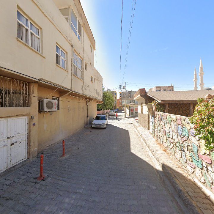 Fotoğraf 9