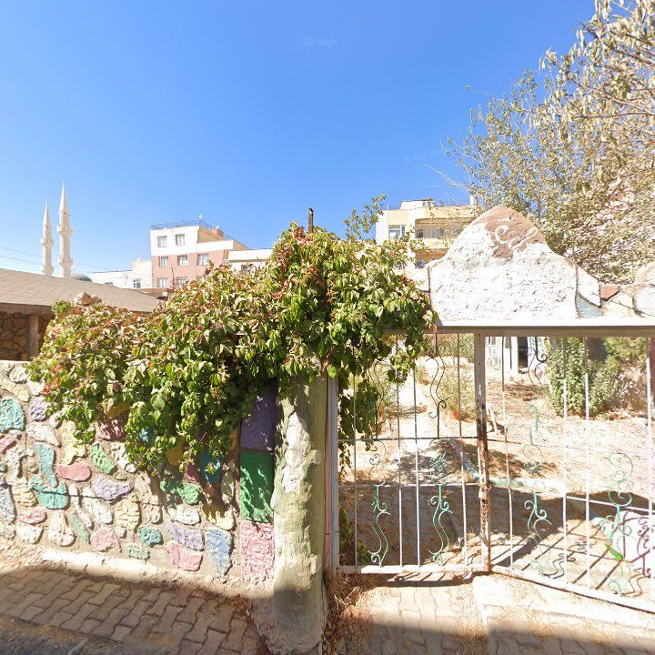 Fotoğraf 10