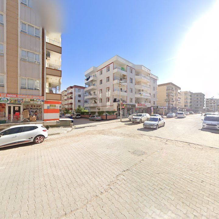 Fotoğraf 9