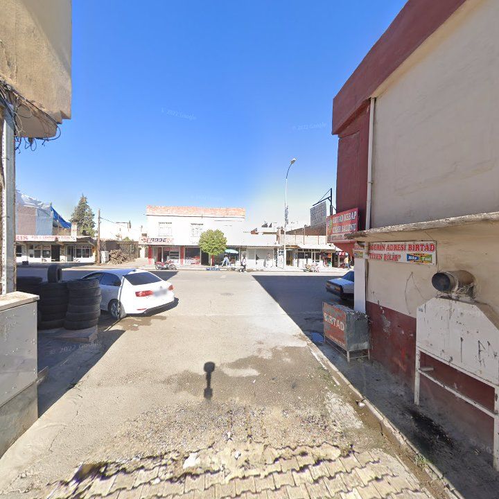 Fotoğraf 9