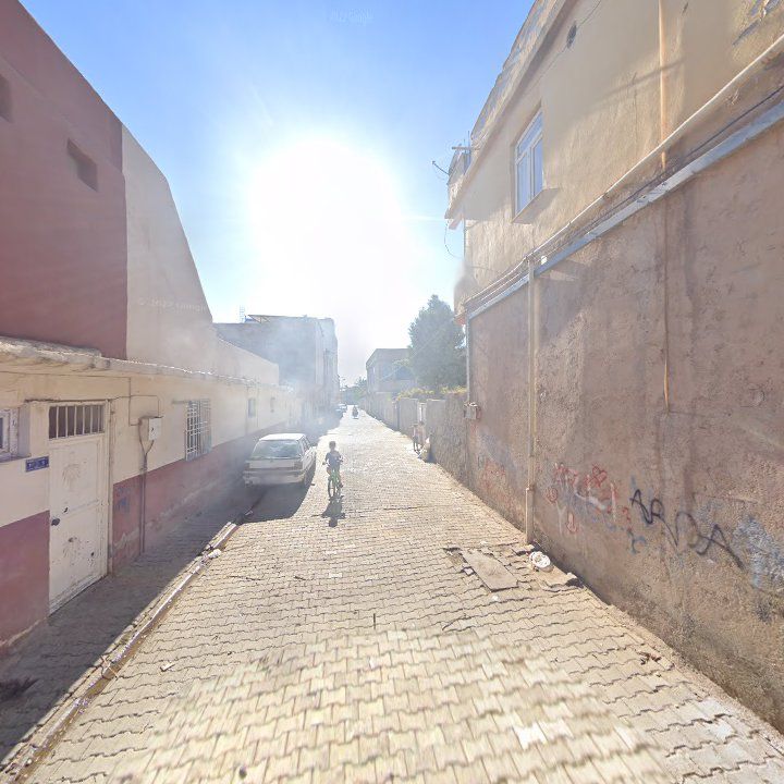 Fotoğraf 7