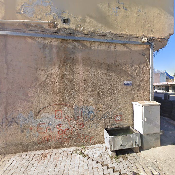 Fotoğraf 8