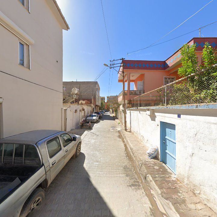 Fotoğraf 8
