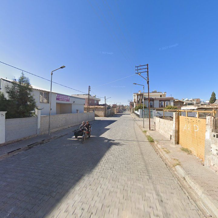 Fotoğraf 7