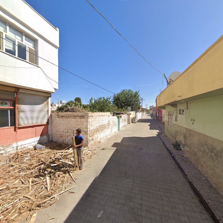 Fotoğraf 3