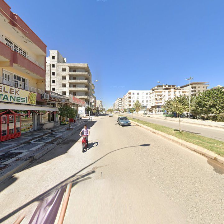 Fotoğraf 3