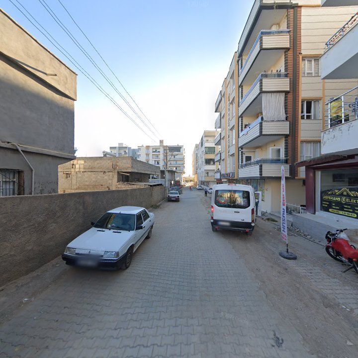 Fotoğraf 3