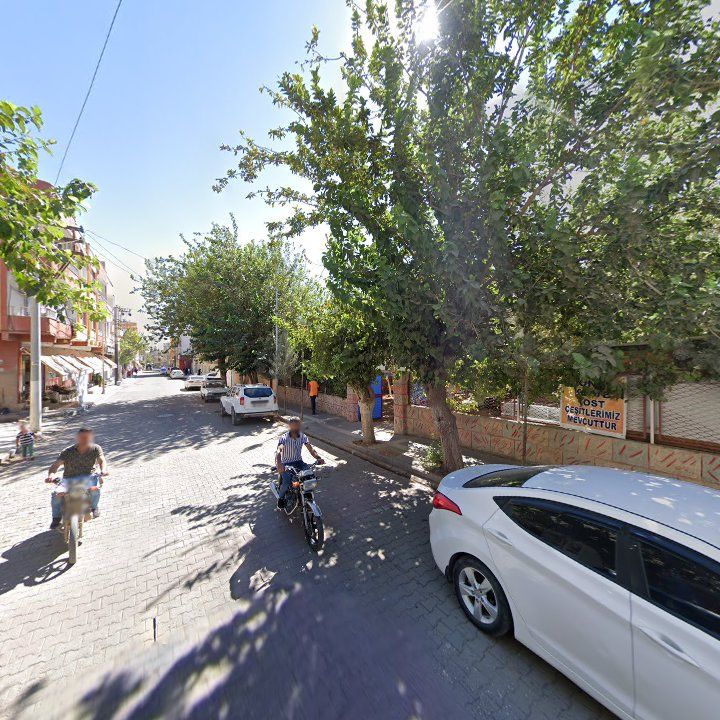Fotoğraf 8