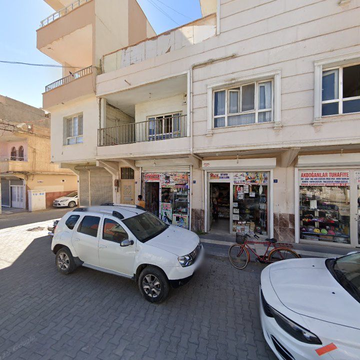 Fotoğraf 6