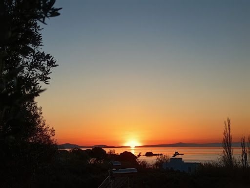 Fotoğraf 16