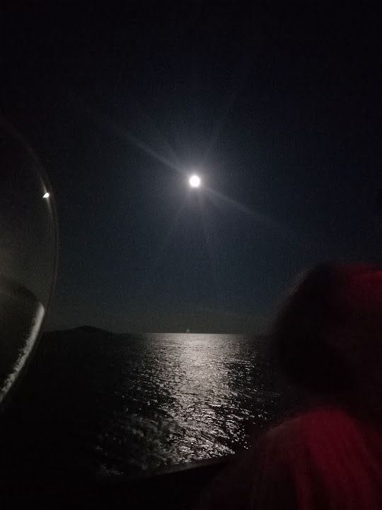 Fotoğraf 17