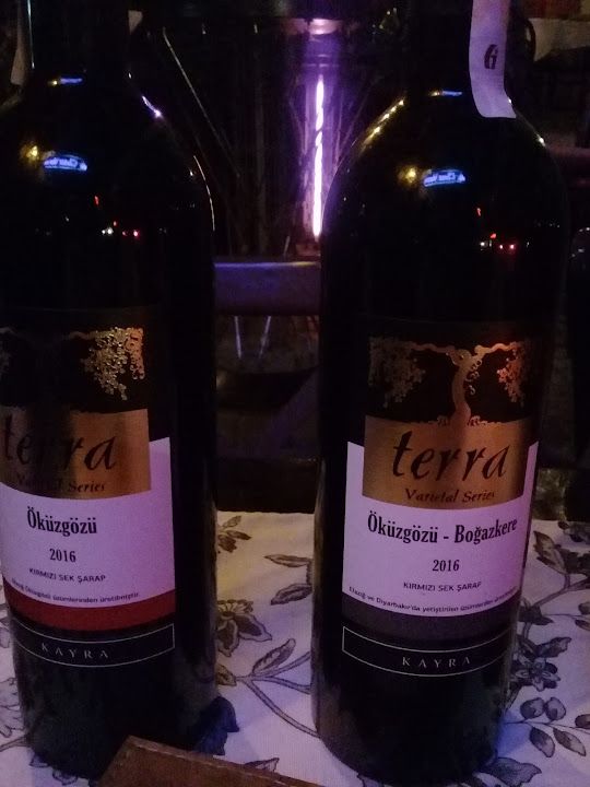Fotoğraf 33
