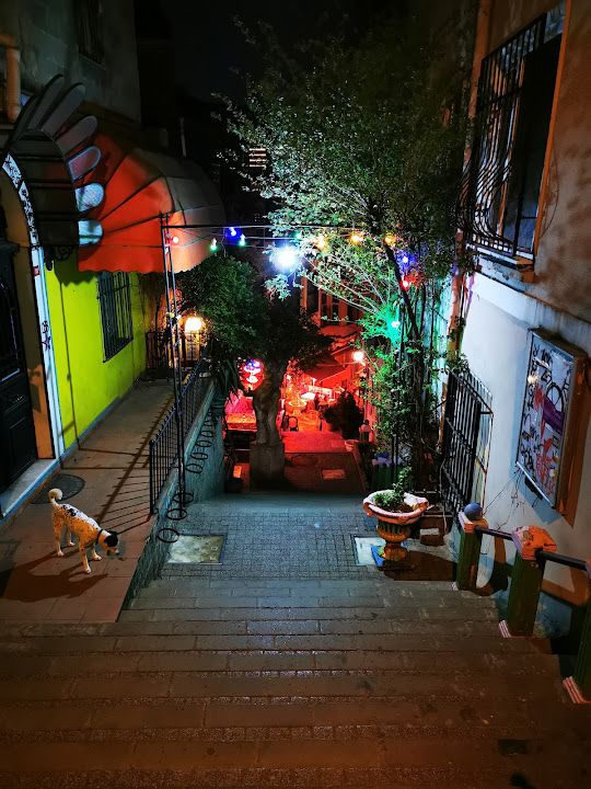 Yorum fotoğrafı 2