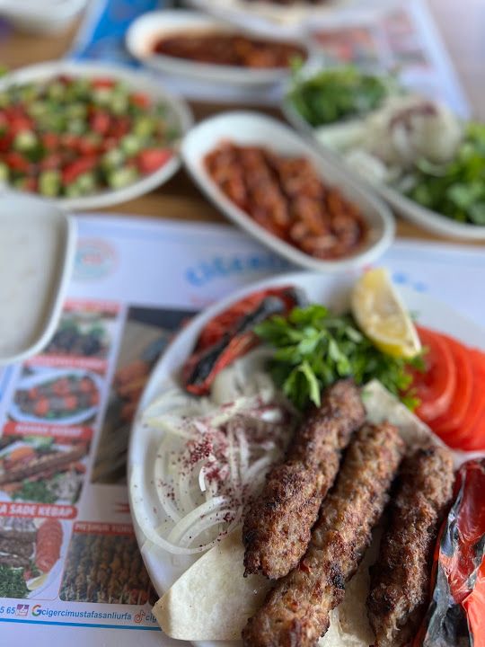 Fotoğraf 17
