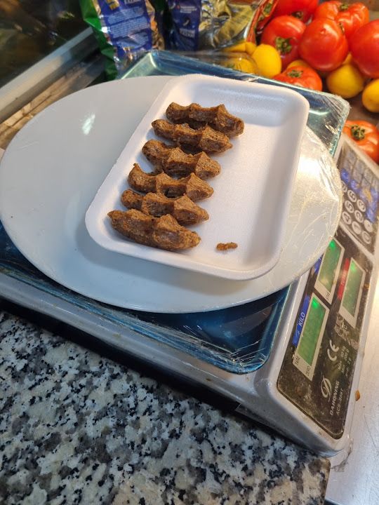 Fotoğraf 14