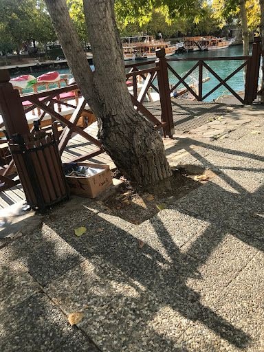 Yorum fotoğrafı 3