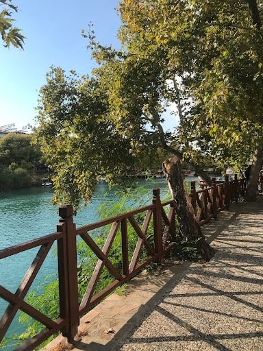 Yorum fotoğrafı 4