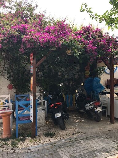 Fotoğraf 24