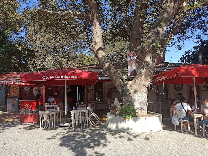 Yorum fotoğrafı 3