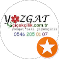 çiçek şehri çiçekçilik