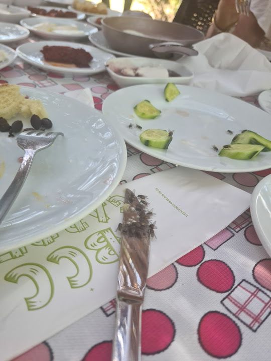 Fotoğraf 27