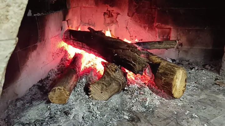 Fotoğraf 15