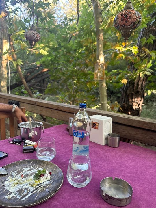 Yorum fotoğrafı 4